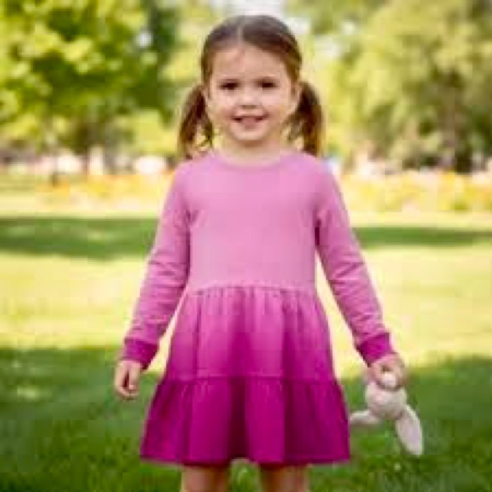 Cat & Jack Girl’s Pink Ombré Tiered Sweatshirt Dress size L (10/12) Long sleeve